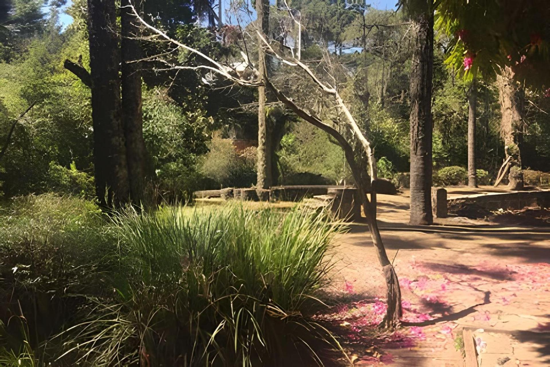 Cabana Suspensa Na Natureza - Regiao Turistica Campos do Jordao Ngoại thất bức ảnh